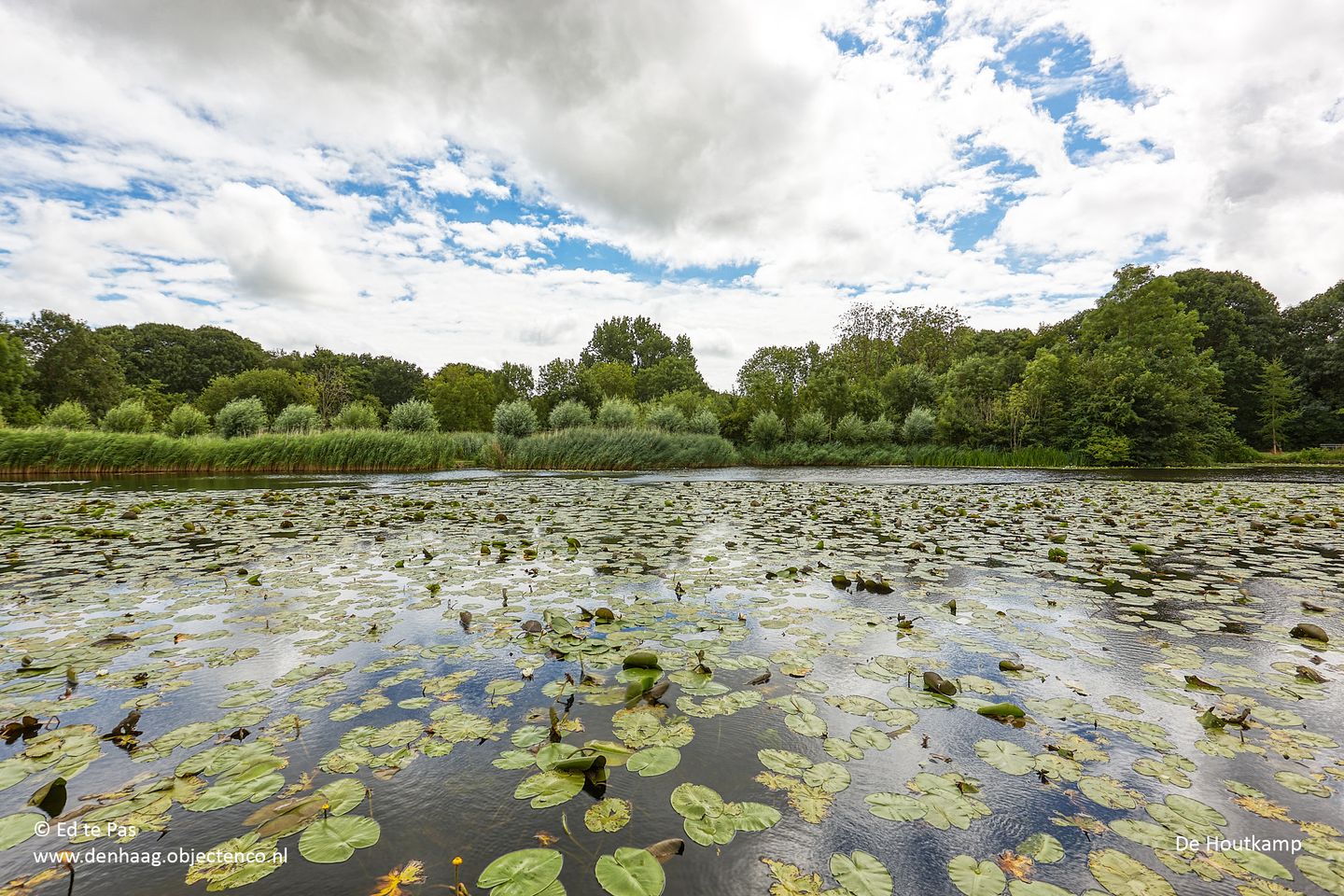 Foto 40 van Pluimzeggekreek 8