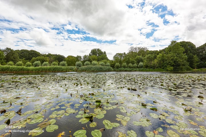 Foto 40 van Pluimzeggekreek 8