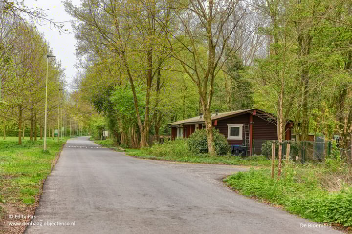 Foto 41 van Pluimzeggekreek 8