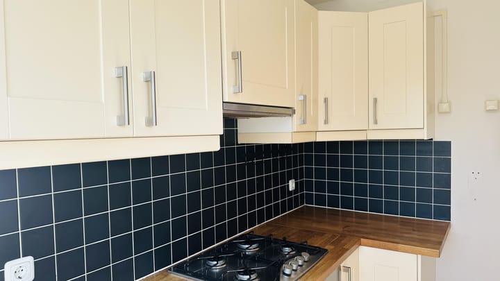 Photo 7 of Prof. Krausstraat 74