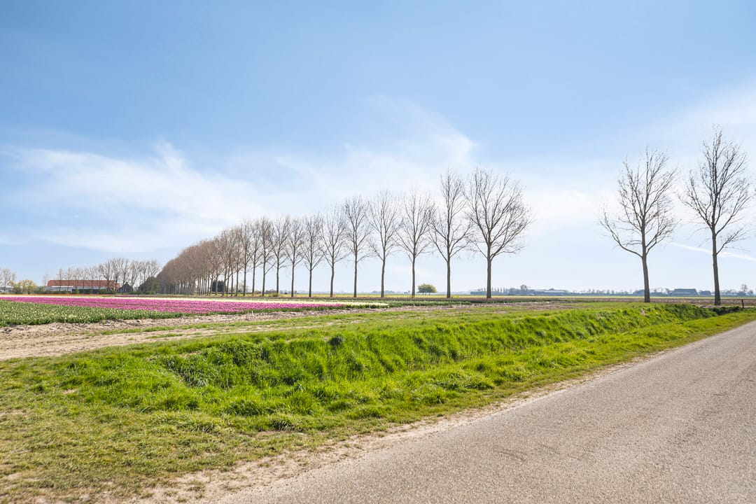 Foto 32 van Molenstraat 8