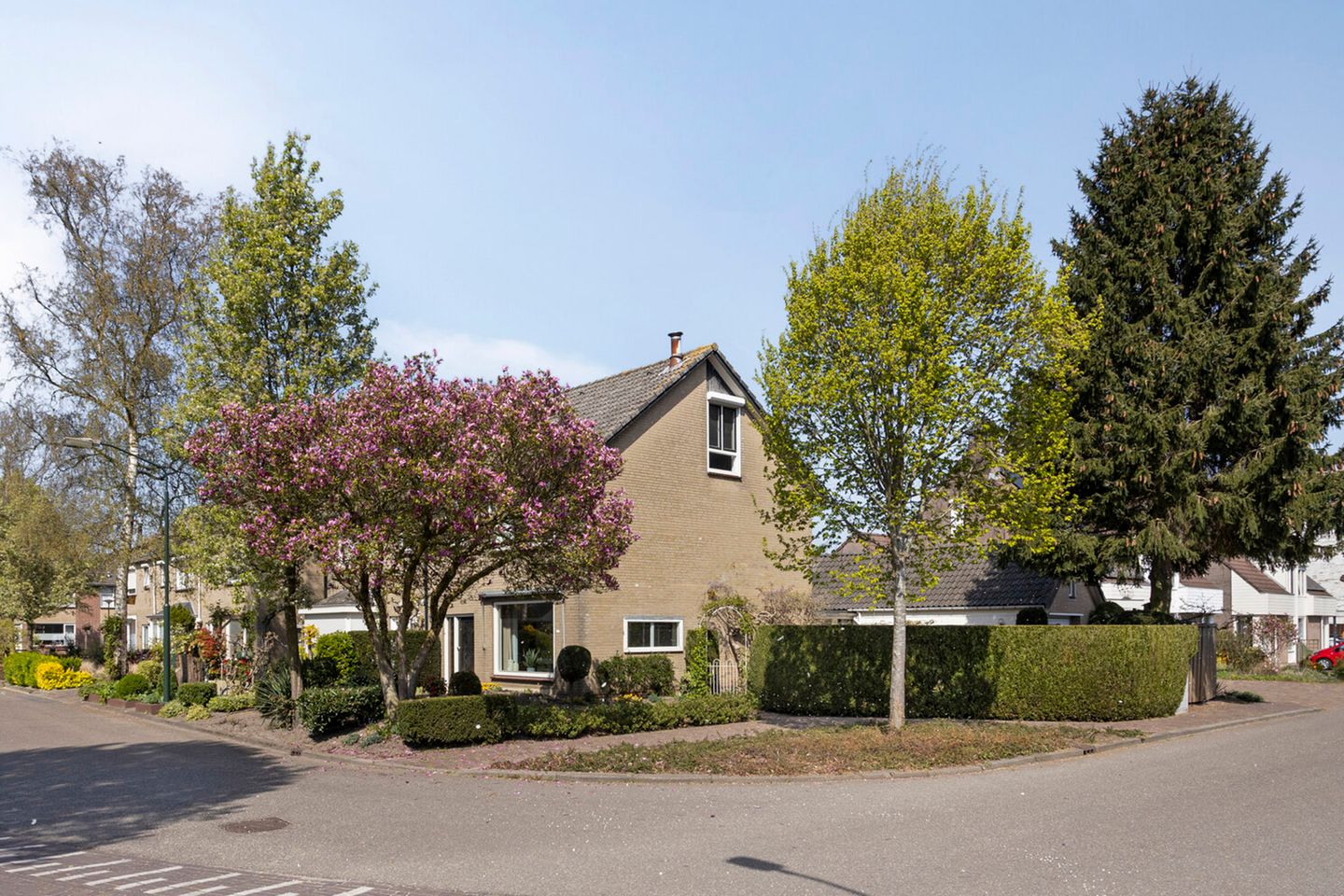 De Biezen 2 main image
