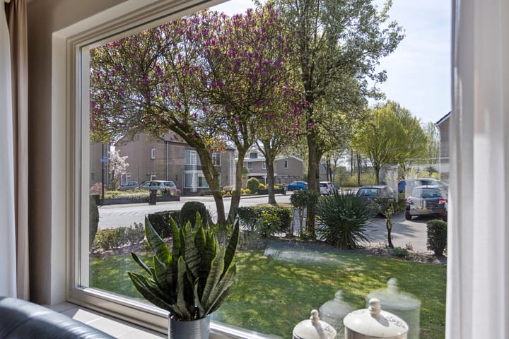 Foto 8 van De Biezen 2