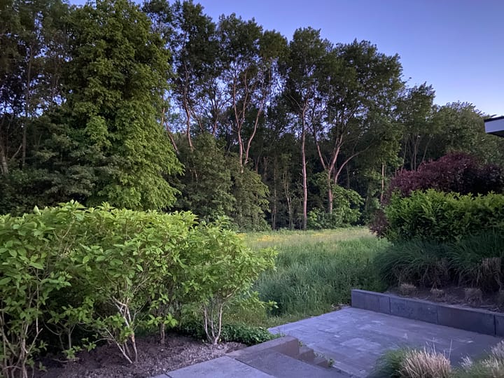 Photo 18 of Zuiderweg 2-R0025