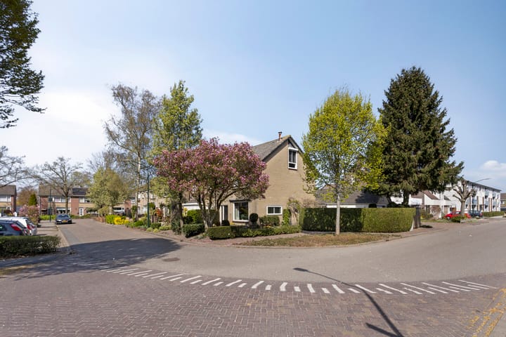 Foto 35 van De Biezen 2