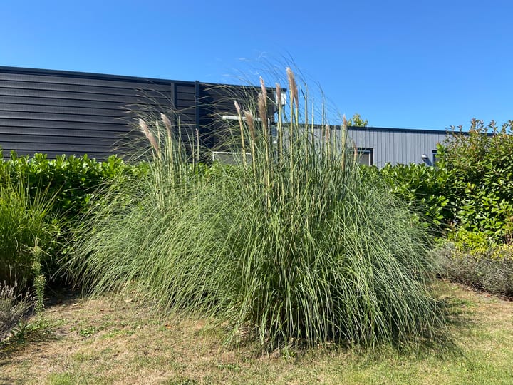 Photo 20 of Zuiderweg 2-R0025