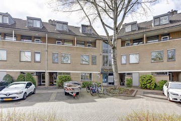 Anna van Hensbeeksingel thumbnail