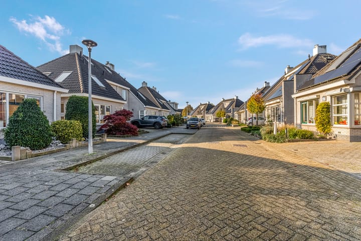 Photo 6 of James Grieve 3