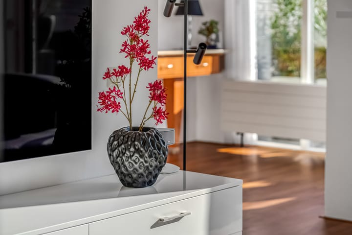 Photo 11 of James Grieve 3