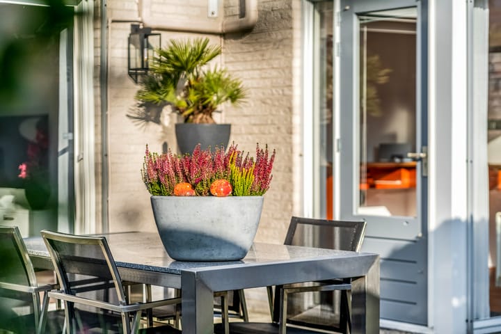 Photo 33 of James Grieve 3