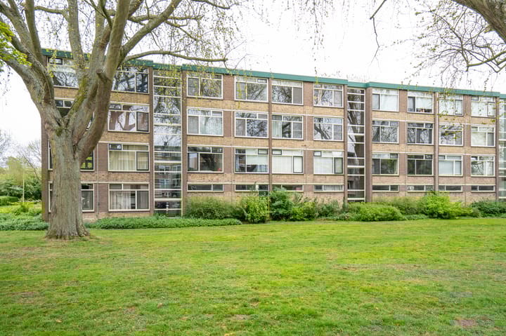 Foto 5 van Piet Heynstraat 10