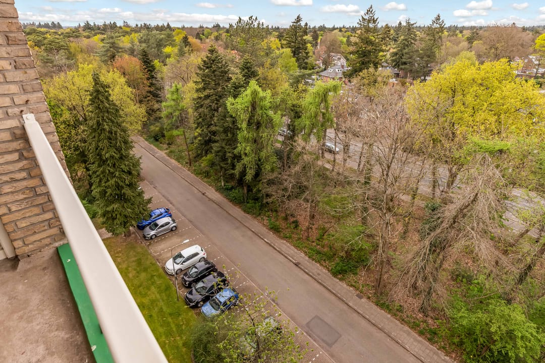 Photo 38 of Arnhemse Bovenweg 16-87