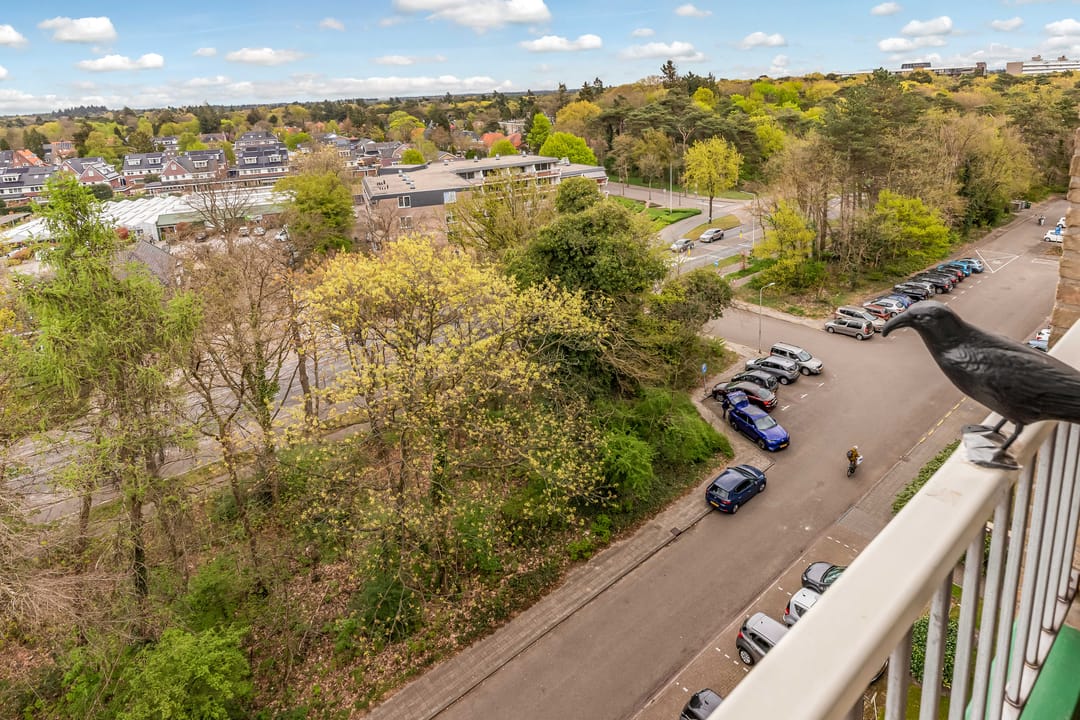 Photo 41 of Arnhemse Bovenweg 16-87