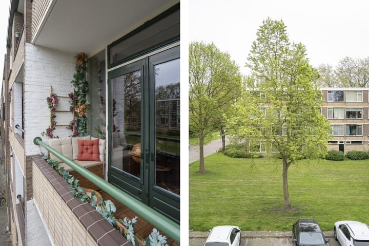 Foto 22 van Piet Heynstraat 10