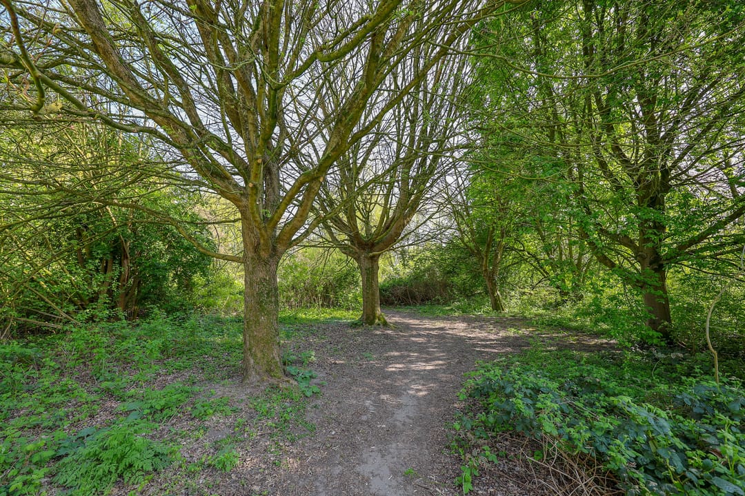 Photo 53 of Nieuwendammerdijk 491