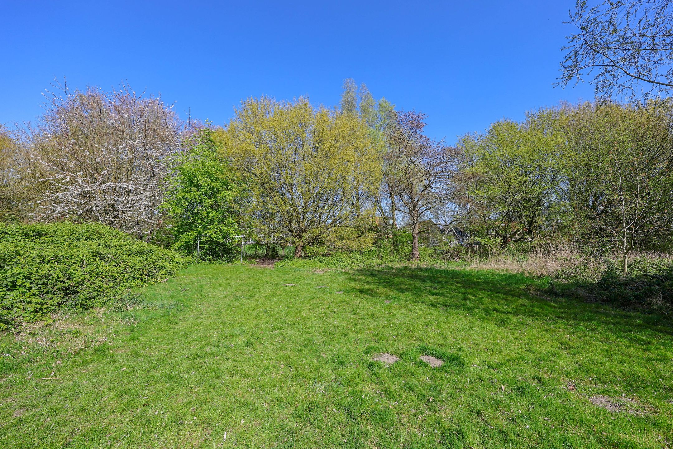 Photo 54 of Nieuwendammerdijk 491