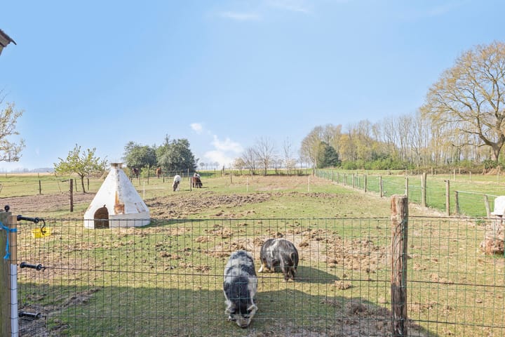 Foto 66 van Oostereind 6