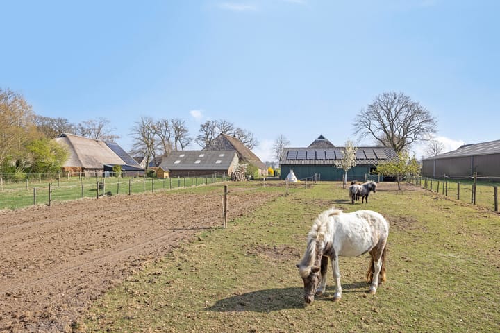 Foto 67 van Oostereind 6