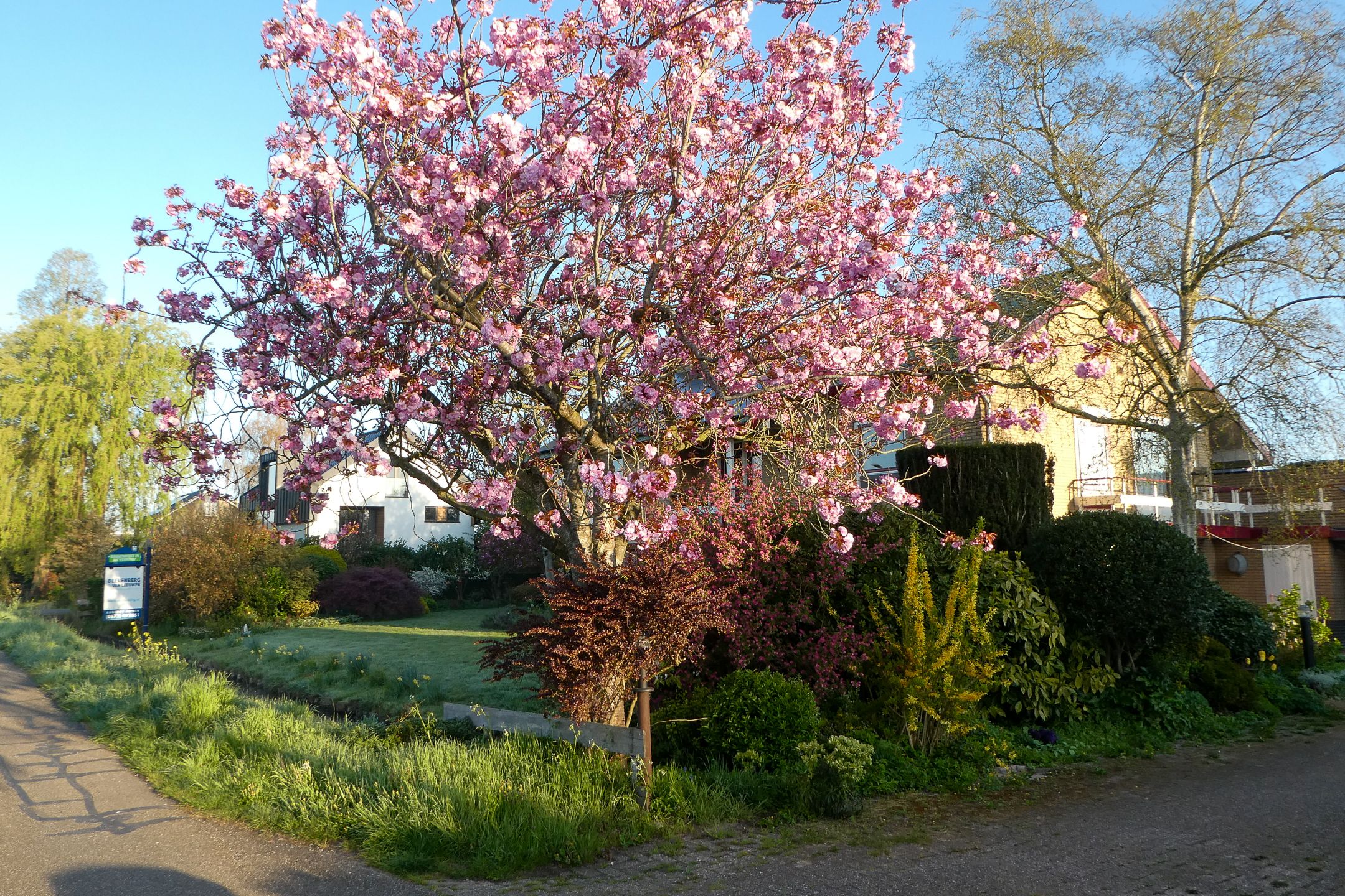 Photo 48 of Nachtegaalspad 7