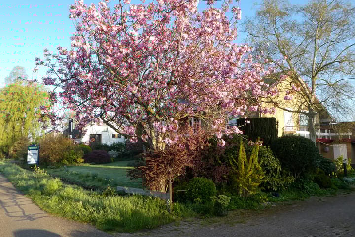 Foto 48 van Nachtegaalspad 7