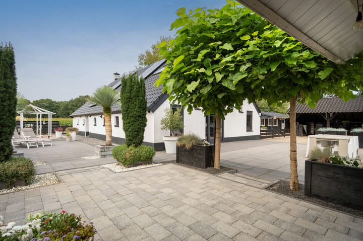 Foto 34 van Oevermansweg 12