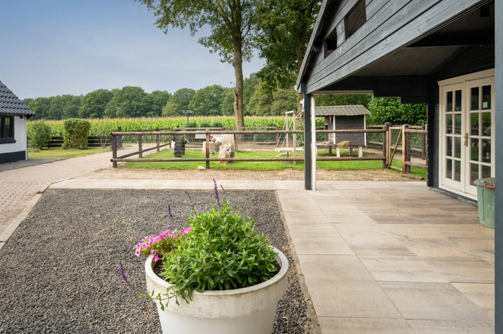 Foto 36 van Oevermansweg 12