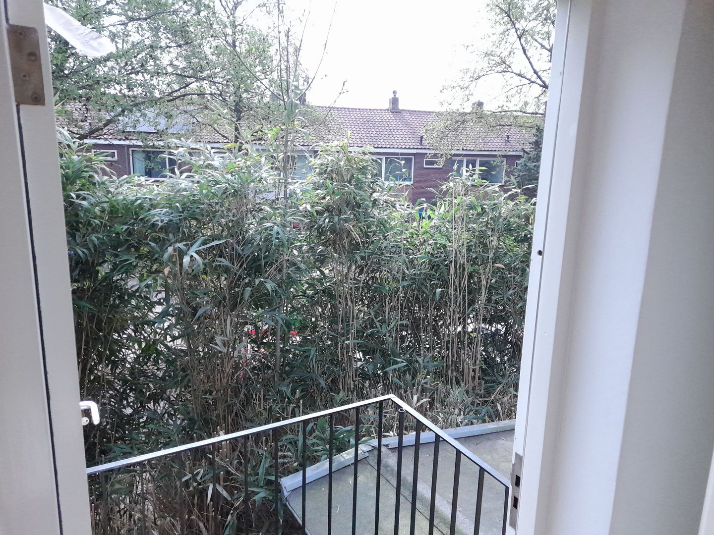 Foto 14 van van der Helstpark 51