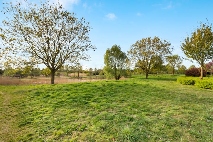 Foto 40 van Reling 77