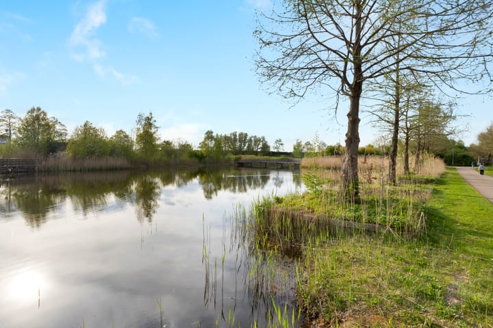 Foto 41 van Reling 77