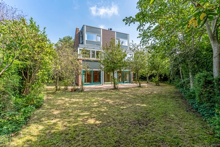 Marene 20 main image