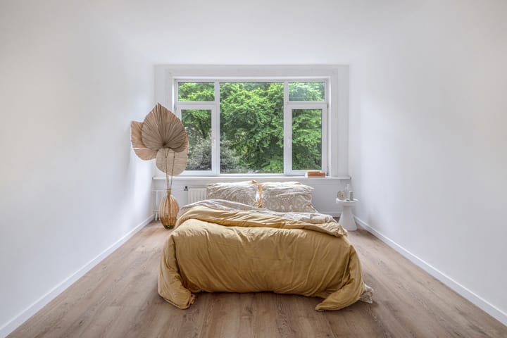 Foto 18 van Willem Buytewechstraat 50-B