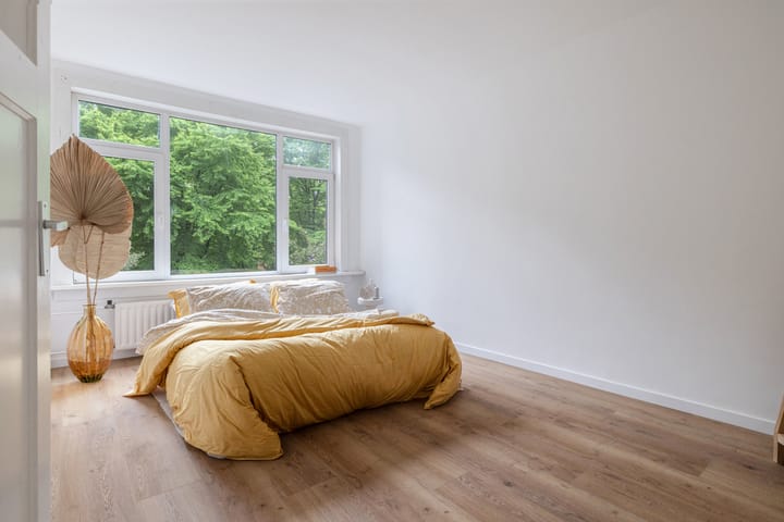 Foto 20 van Willem Buytewechstraat 50-B