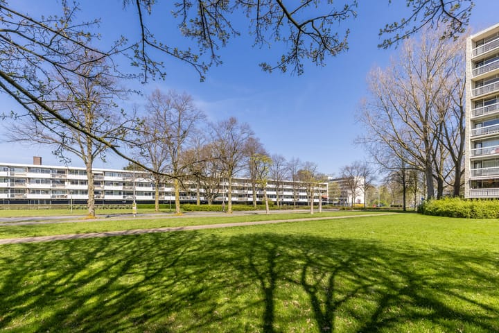 Foto 40 van Duivelandselaan 17