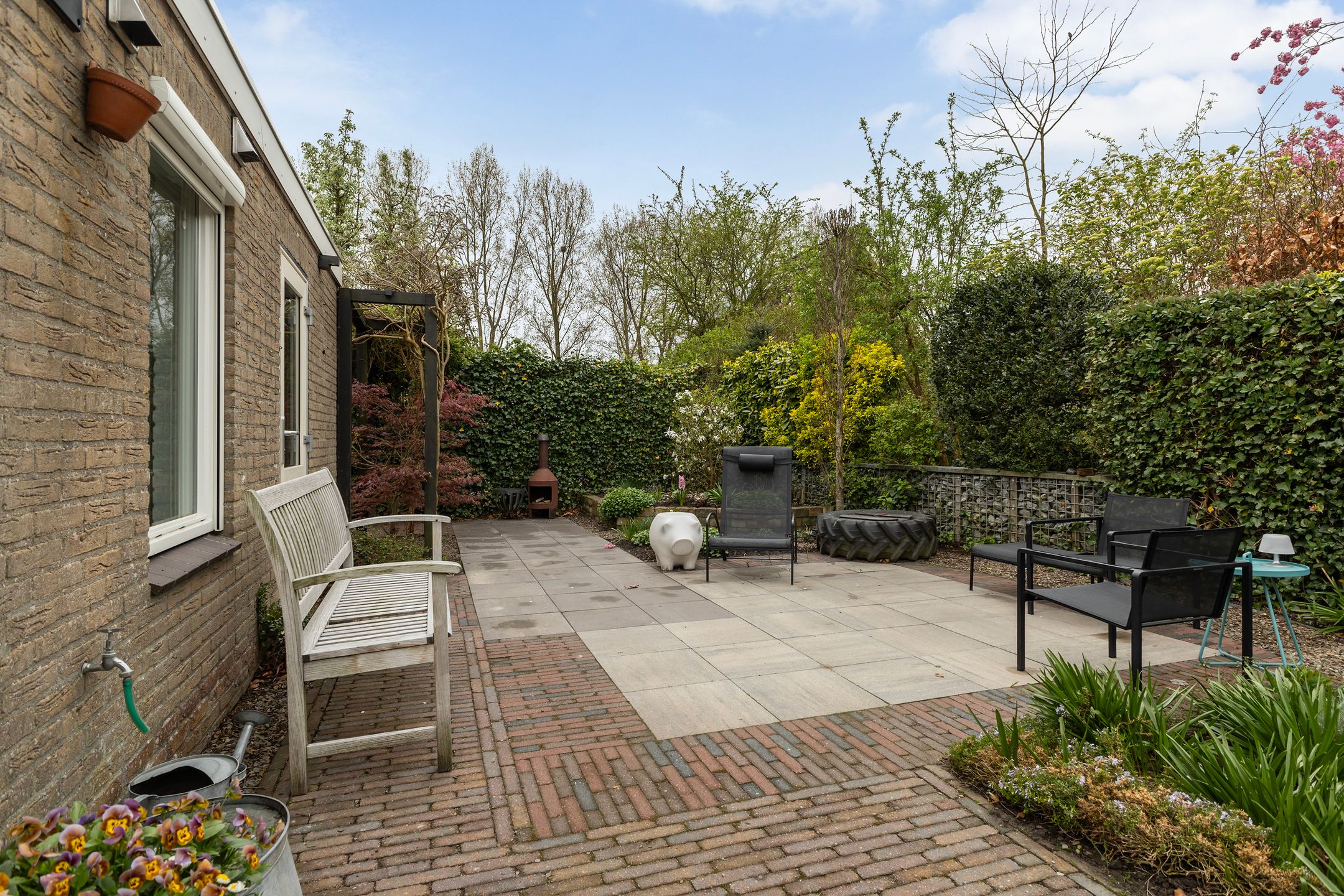 Foto 3 van Schierstins 4