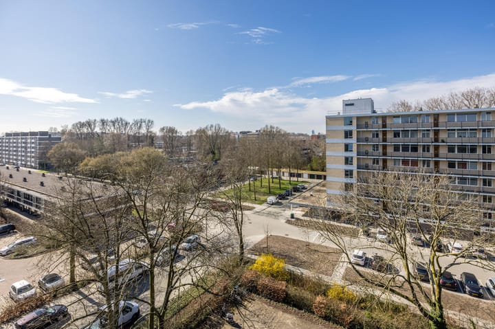 Foto 29 van Everaertstraat 313