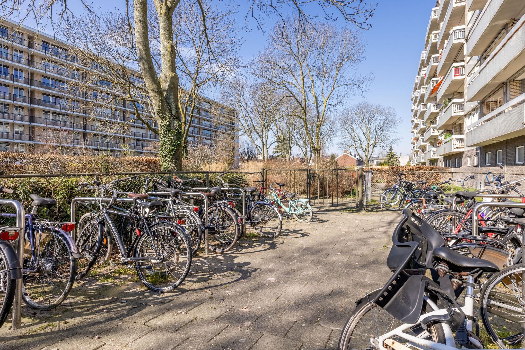 Foto 33 van Everaertstraat 313