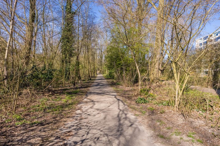 Foto 37 van Everaertstraat 313