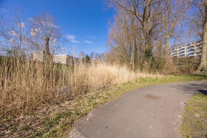 Foto 39 van Everaertstraat 313