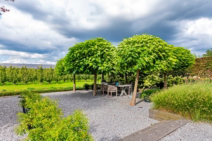 Foto 48 van Het Voorburg 28