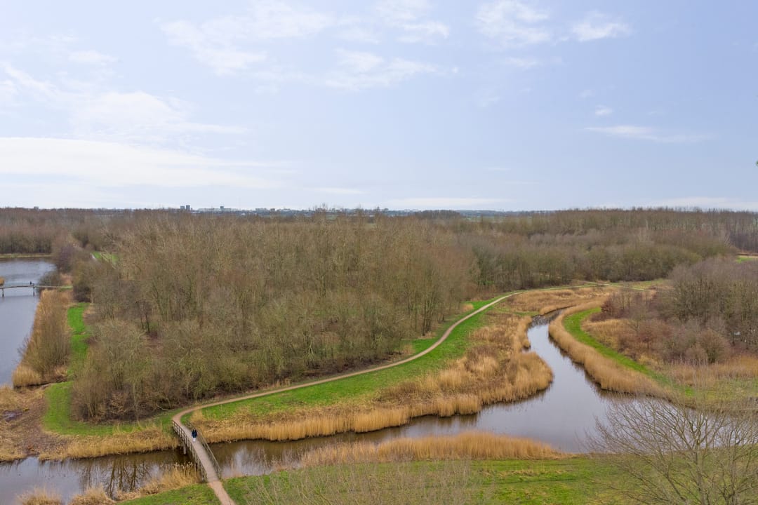 Photo 8 of Arendlaan 60