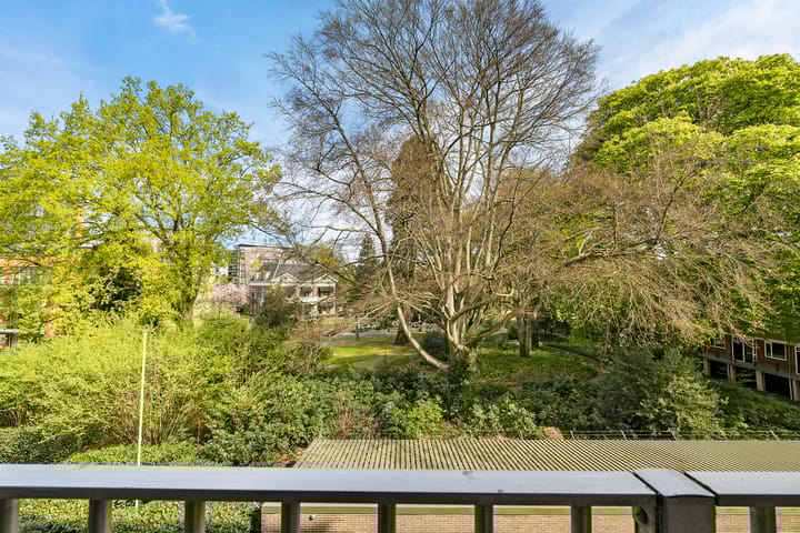 Foto 30 van Marthalaan 2-305