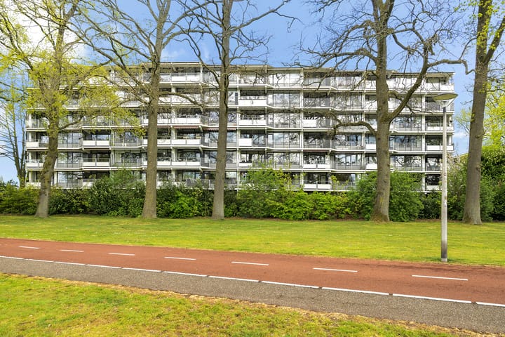 Foto 41 van Marthalaan 2-305