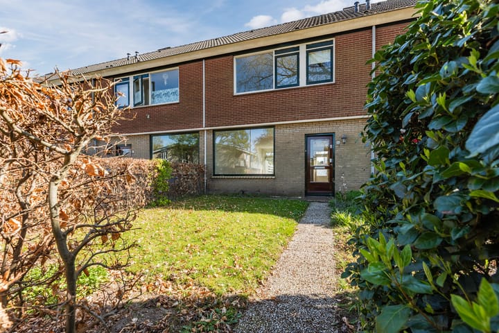 Foto 2 van Treubstraat 60