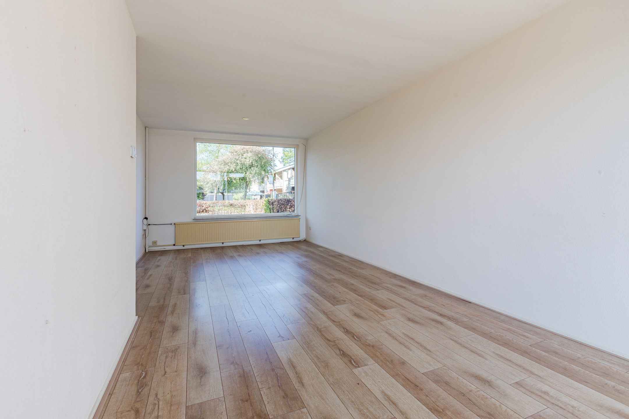 Foto 6 van Treubstraat 60