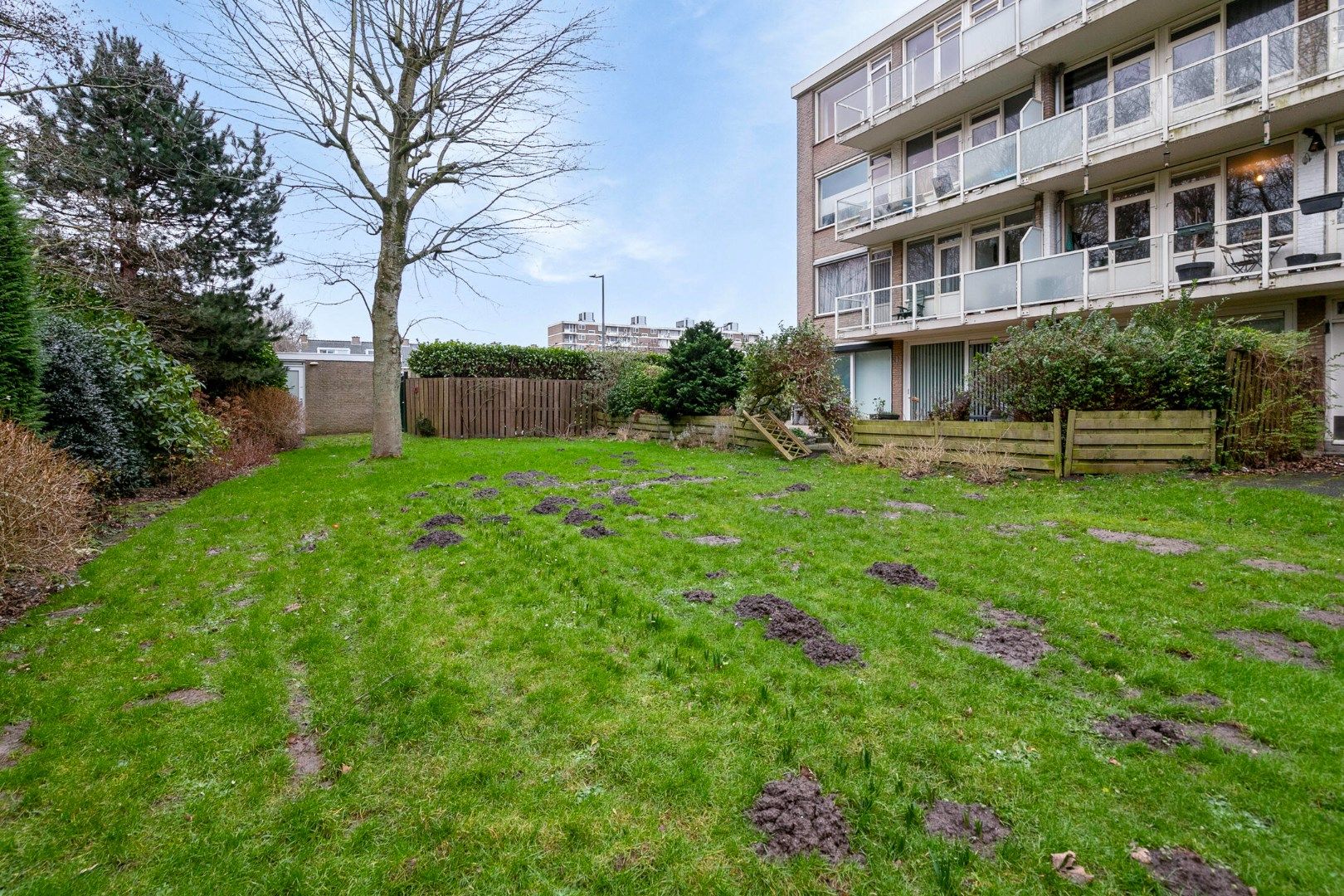 Foto 27 van Godijn van Dormaalstraat 19