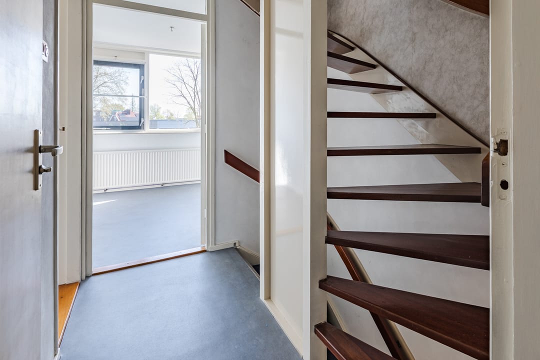 Foto 13 van Treubstraat 60