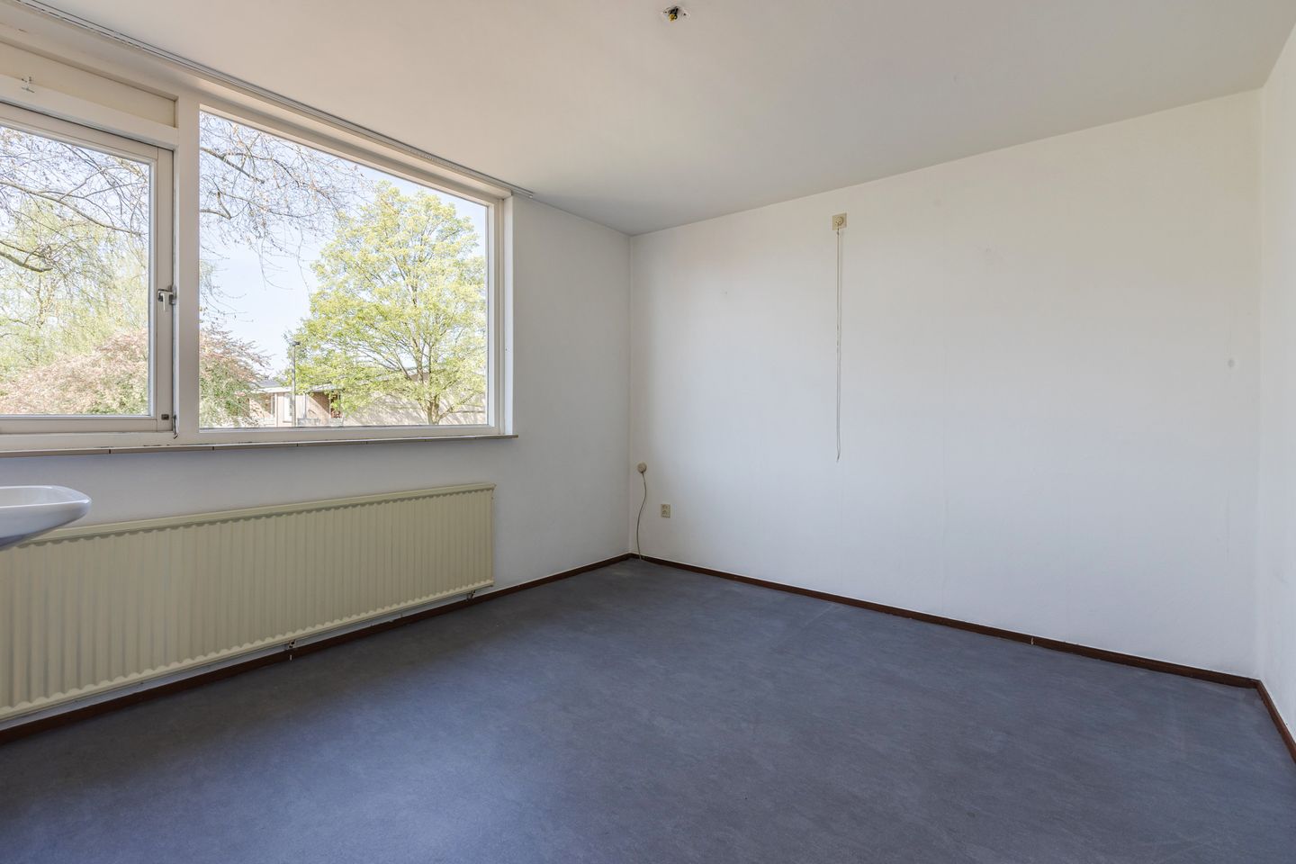 Foto 14 van Treubstraat 60