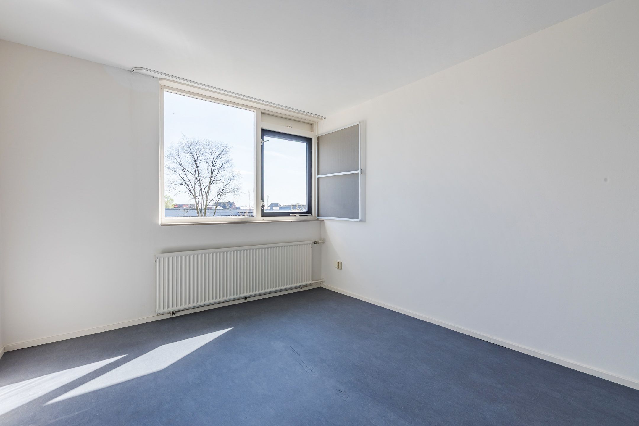 Foto 18 van Treubstraat 60