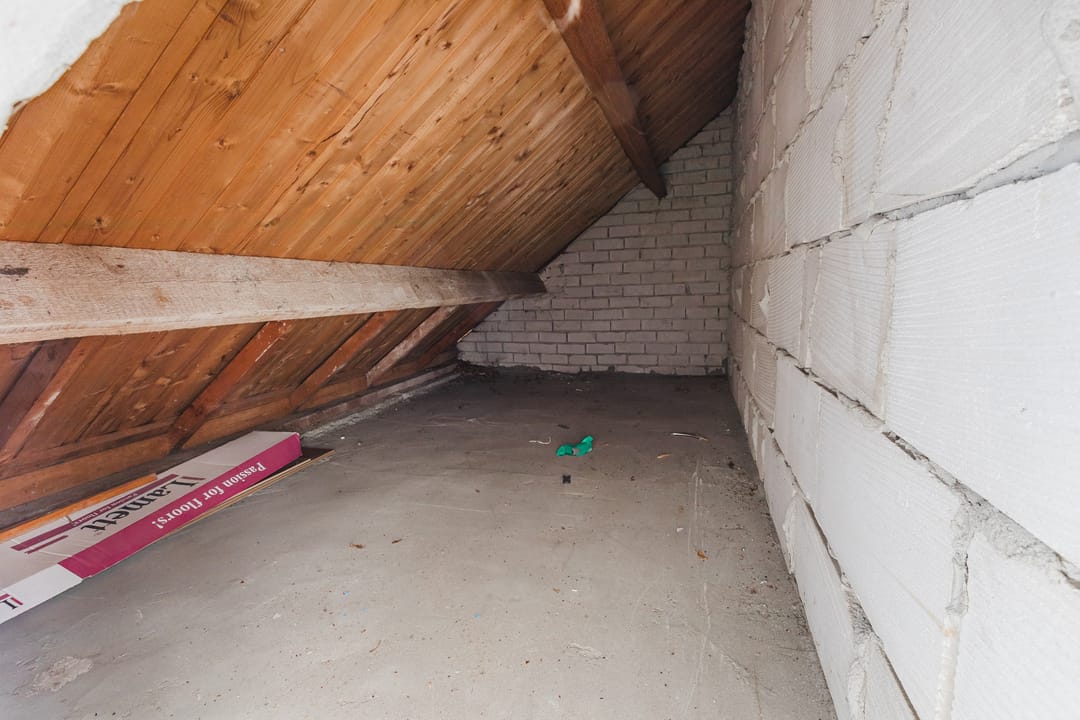 Foto 32 van Treubstraat 60