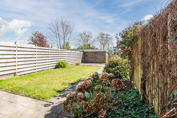 Foto 33 van Treubstraat 60